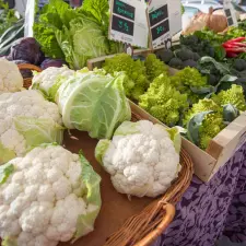 Imatge del recurs: Comunicar els ODS en video des d'una cooperativa d'alumnes de Formaci&oacute; Professional