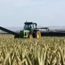 Imatge del recurs: Els reptes dels pesticides: des del tractor fins a l'esc&oacute;