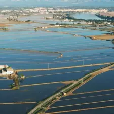 Imatge del recurs: Gesti&oacute; de plagues del Delta de l'Ebre a trav&eacute;s de la biodiversitat